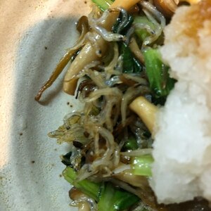 小松菜とツナの副菜